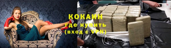 шишки Михайловка