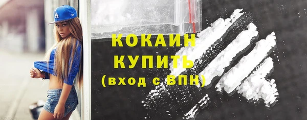 дживик Пересвет