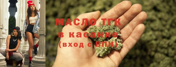 дживик Пересвет