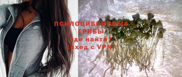 мдпв Переславль-Залесский