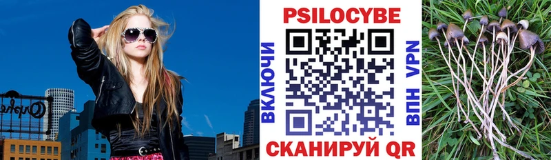 Псилоцибиновые грибы Magic Shrooms  цена   ОМГ ОМГ зеркало  Партизанск 